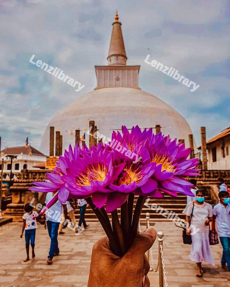 A person holding a purple bouquet